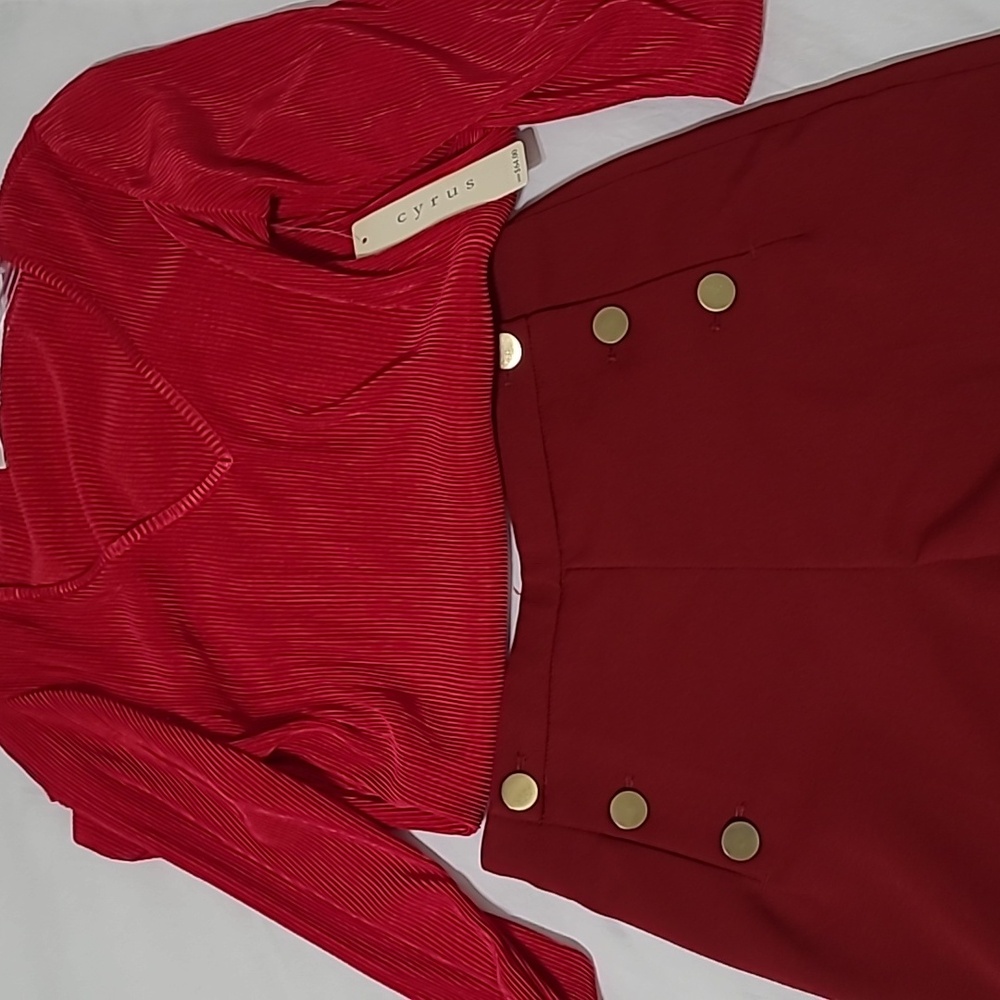 Burgundy H&M Dress Shorts - Picture 6 of 6